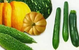 莘县在哪吃瓜,莘县特色瓜果美食之旅  第1张